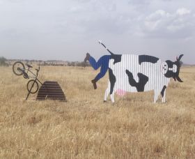 Animals On Bikes - Find Attractions 1