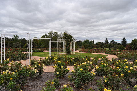 Australian Inland Botanic Gardens - Find Attractions 0