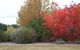 Australian Inland Botanic Gardens - thumb 2
