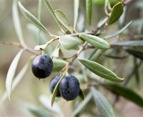 Wollundry Grove Olives - Find Attractions 2