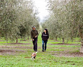 Wollundry Grove Olives - Find Attractions 3