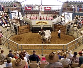 Gracemere Exhibition Complex - Find Attractions 1