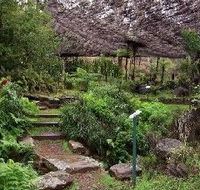 Burrendong Botanic Garden and Arboretum - Find Attractions