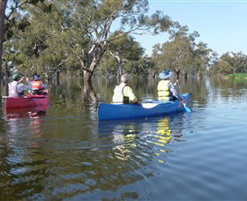 Doodle Cooma Swamp Henty