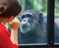 The Rockhampton Zoo