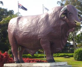 Rockhampton Bull Statues Rockhampton