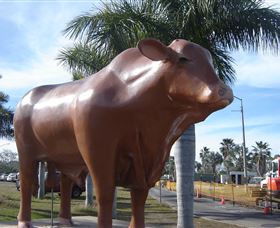 Rockhampton Bull Statues - Find Attractions 3