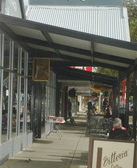 The Coffee Store  Rambling Rose