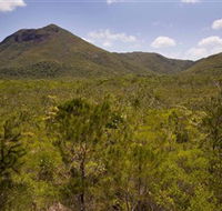 Kutini-Payamu Iron Range National Park CYPAL - Find Attractions