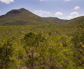 Kutini-Payamu (Iron Range) National Park (CYPAL) - Find Attractions 0