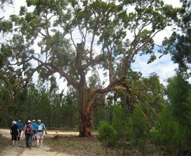 Warialda NSW Find Attractions