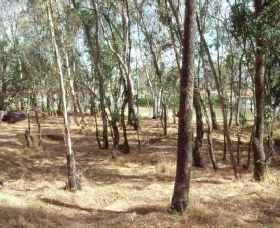 Chiltern-Mt Pilot National Park - Find Attractions 0