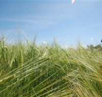150 Degrees East Meridian - Find Attractions