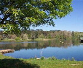 Lake Canobolas Reserve - Find Attractions 0