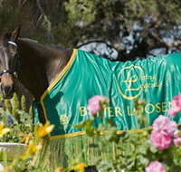 Living Legends The International Home of Rest for Champion Horses - Find Attractions
