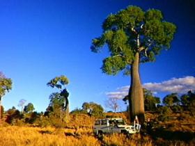 Kroombit Tops National Park - Find Attractions 1
