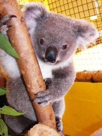 Cooberrie Park Wildlife Sanctuary