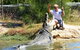 Koorana Crocodile Farm - thumb 1