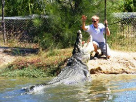 Koorana Crocodile Farm - Find Attractions 1