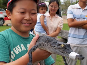 Koorana Crocodile Farm - Find Attractions 2
