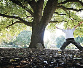 Albury Botanic Gardens - Find Attractions 1