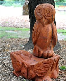 Albury Botanic Gardens - Find Attractions 7