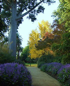 Albury Botanic Gardens - Find Attractions 4