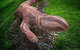 Wagirra Trail And Yindyamarra Sculpture Walk - thumb 3