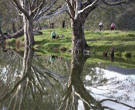 Wagirra Trail And Yindyamarra Sculpture Walk - Find Attractions 1