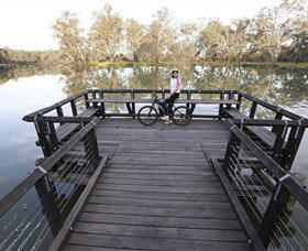 Wagirra Trail And Yindyamarra Sculpture Walk - Find Attractions 6