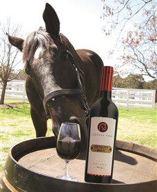 Gooree Park Mudgee - Find Attractions 0