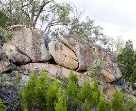 Frog Rock - Find Attractions 1