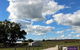 Short Sheep Micro-Winery - thumb 8
