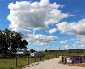 Short Sheep Micro-Winery - Find Attractions 8