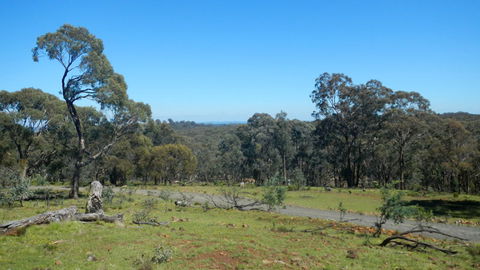 Bald Hill Lookout - Find Attractions 0