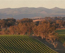 Angullong Wines - Find Attractions 0