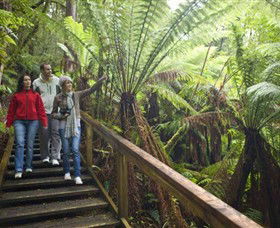  Find Attractions