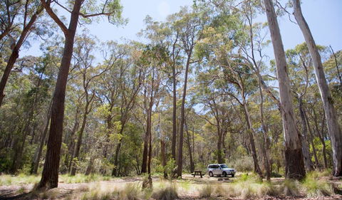 Coolah Tops National Park - Find Attractions 0