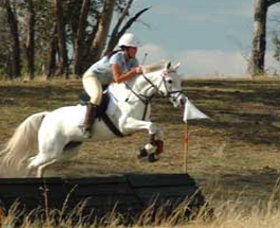 National Equestrian Centre - Kerrabee - Find Attractions 0