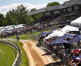Thoroughbred Park Canberra Racing Club - Horse Racing In The Nations Capital - Find Attractions 0