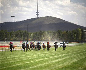 Thoroughbred Park Canberra Racing Club - Horse Racing In The Nations Capital - Find Attractions 3