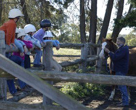 Harlow Park Horse Riding - Find Attractions 0