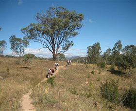 Kambah Pool To Pine Island - Find Attractions 1