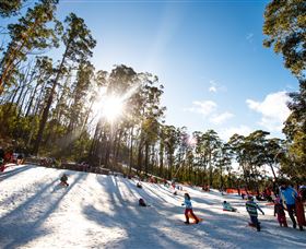 Corin Forest Mountain Resort - Find Attractions 1