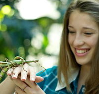CSIRO Discovery Centre - Find Attractions