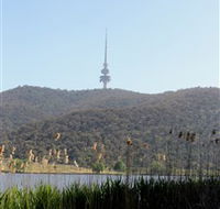 Black Mountain Peninsula - Find Attractions