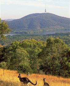 Canberra Centenary Trail - Find Attractions 0