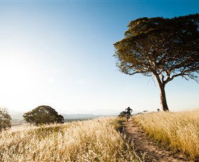 Canberra Centenary Trail - Find Attractions 1