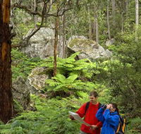 Centennial Glen - Find Attractions