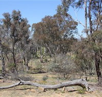 Remembrance Nature Park - Find Attractions